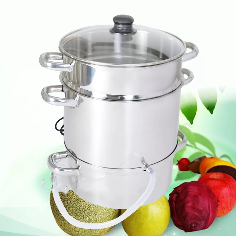 steam juicer